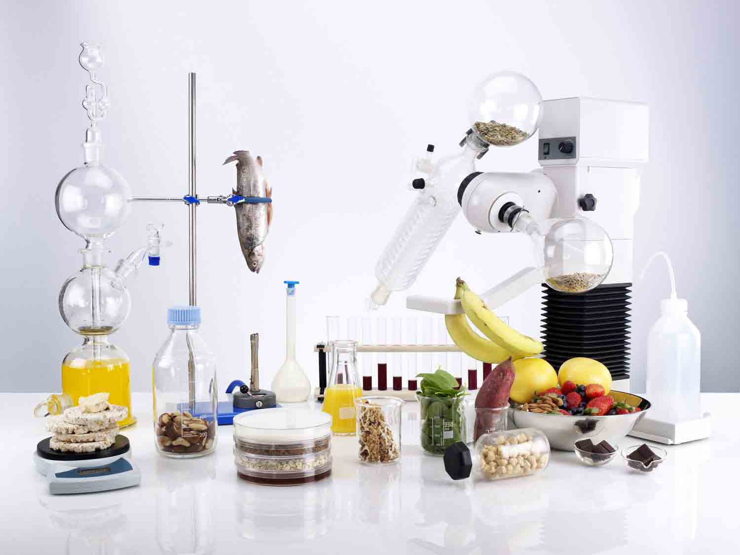 Food Chemistry